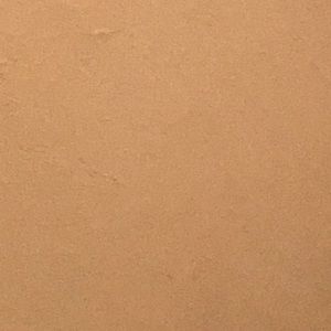 Meet your Posher, Pedro